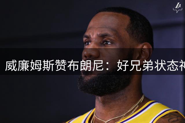 威廉姆斯赞布朗尼：好兄弟状态神勇适应湖人