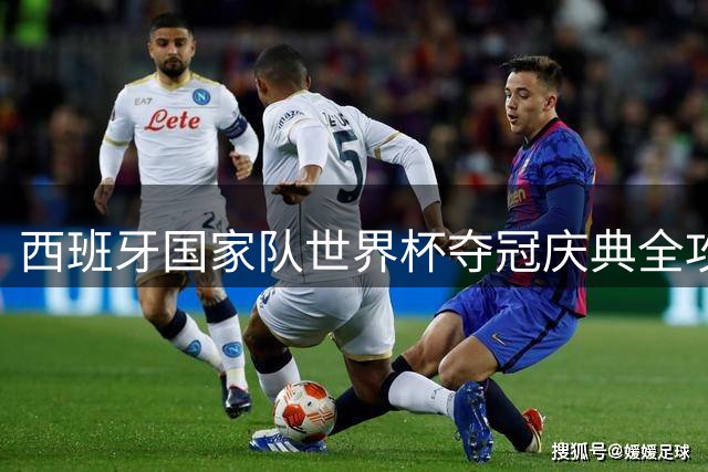 西班牙国家队世界杯夺冠庆典全攻略：马德里巡游路线与王室接见细节曝光