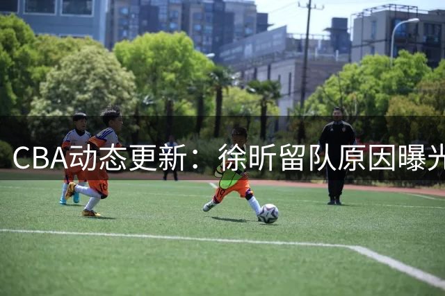 CBA动态更新：徐昕留队原因曝光 沪鲁两队阵容调整敲定